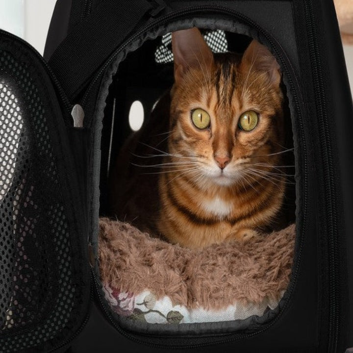 Geanta pentru Transport Animale de Companie, Caine, Pisica, Iepure, Pliabila, Respirabila, cu Plasa de Aerisire